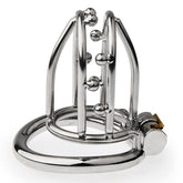 BDStyle Chastity Opening Cage With Chastity Lock Flat Ring